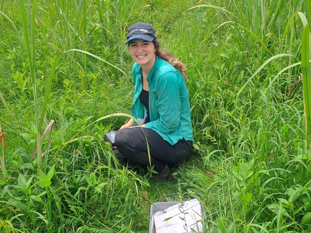 Website Jorja Harvey Field Work